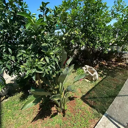 Mare Mateo Penzion Ksamil