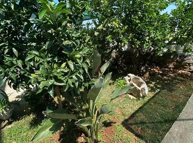 Mare Mateo Penzion Ksamil