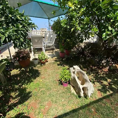 Guest house Mare Mateo *